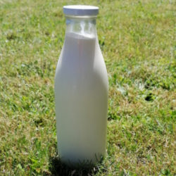 Lait pasteurisé